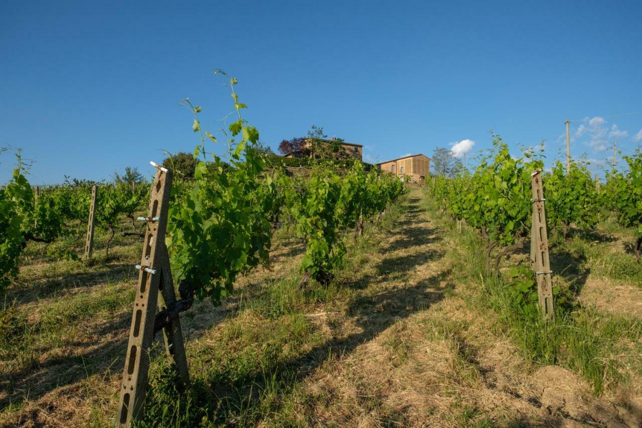 Borgo Amarrante Villa Montaione Eksteriør bilde